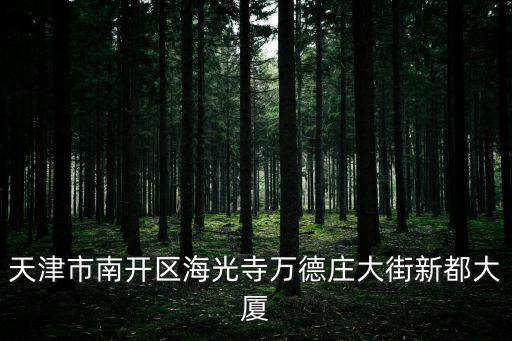 天津市南開區海光寺萬德莊大街新都大廈