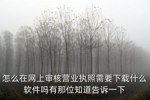 怎么在網(wǎng)上審核營(yíng)業(yè)執(zhí)照需要下載什么軟件嗎有那位知道告訴一下