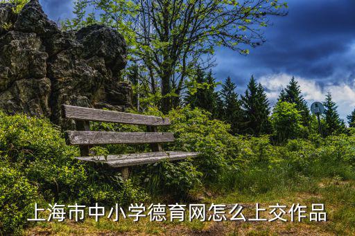 上海市中小學德育網怎么上交作品