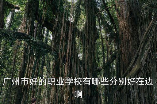 廣州市好的職業學校有哪些分別好在邊啊