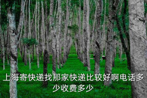 上海市虹區天寶路寄快遞，上海市虹口區安汾路780弄虹北公寓附近快遞代收點在哪兒