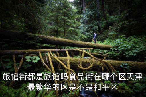 旅館街都是旅館嗎食品街在哪個區天津最繁華的區是不是和平區