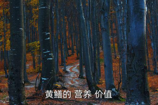 鱔魚的營(yíng)養(yǎng)價(jià)值,黃鱔營(yíng)養(yǎng)豐富是糖尿病患者理想食品