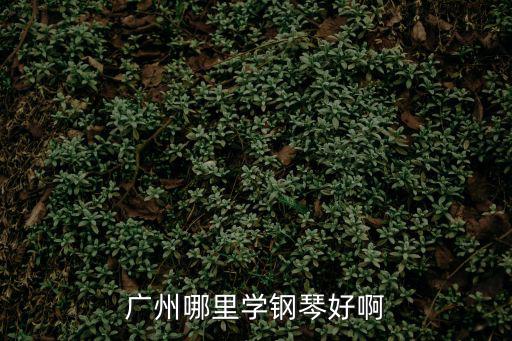 廣州哪里學鋼琴好啊