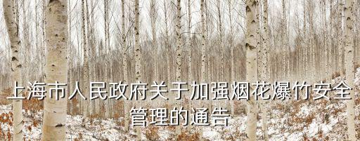 上海市人民政府關于加強煙花爆竹安全管理的通告