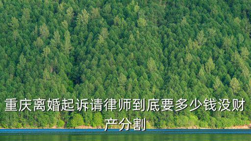 重慶離婚起訴請律師到底要多少錢沒財產分割