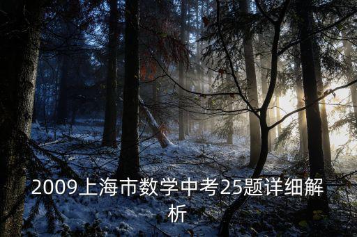 上海市初三數(shù)學25題免費下載，2008年上海市中考數(shù)學試卷第2425題