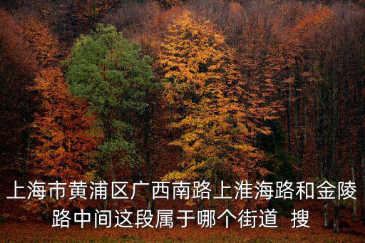 上海市黃浦區廣西南路上淮海路和金陵路中間這段屬于哪個街道  搜