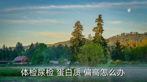 體檢尿檢 蛋白質(zhì) 偏高怎么辦