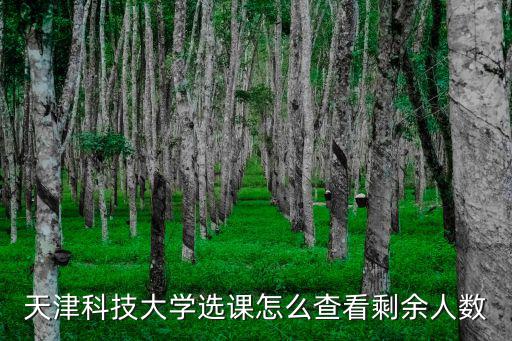天津科技大學選課怎么查看剩余人數