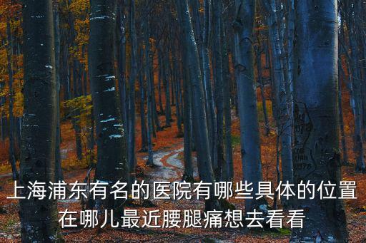 上海市浦東新區六里醫院，上海浦東新區的醫院