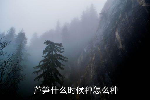  蘆筍什么時候種怎么種
