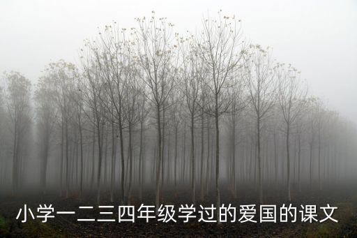 愛國課文，小學愛國課文有哪些