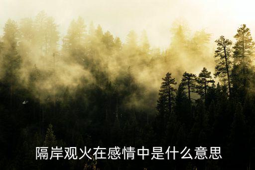  隔岸觀火在感情中是什么意思