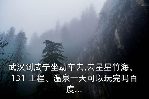 131工程,工程集成電路設計與技術專業基地開放報名