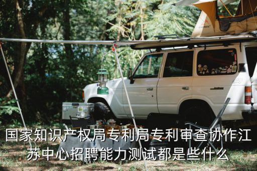 國家知識產權局專利局專利審查協作江蘇中心招聘能力測試都是些什么