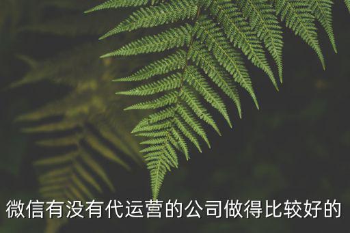 微信有沒有代運營的公司做得比較好的