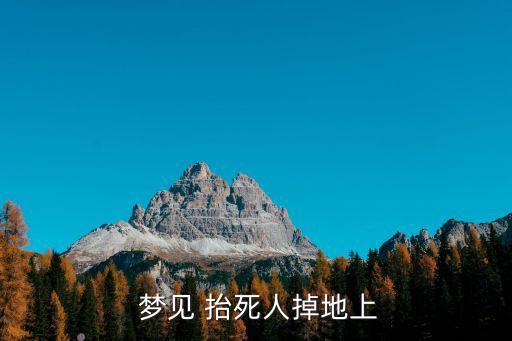  夢見 抬死人掉地上