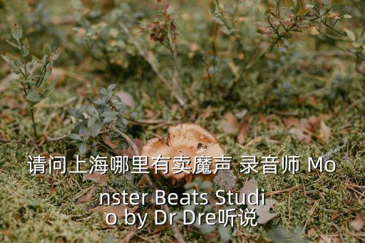 請問上海哪里有賣魔聲 錄音師 Monster Beats Studio by Dr Dre聽說