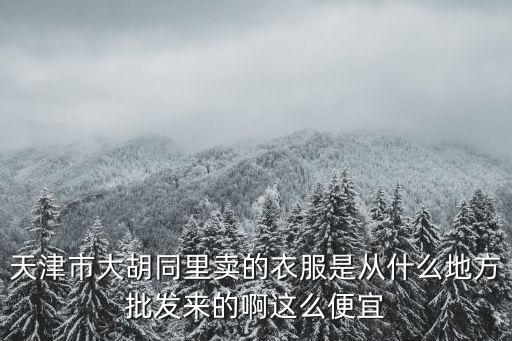 天津市胡同里，天津市大胡同里賣的衣服是從什么地方批發(fā)來的啊這么便宜