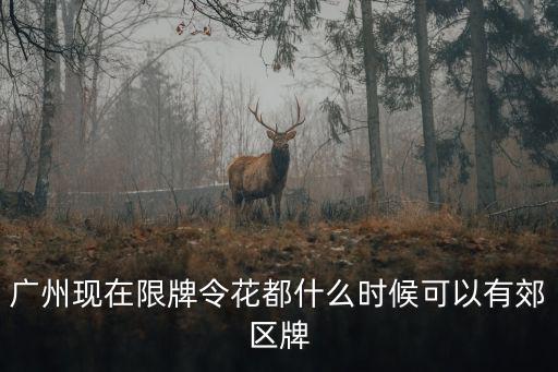 廣州現(xiàn)在限牌令花都什么時(shí)候可以有郊區(qū)牌