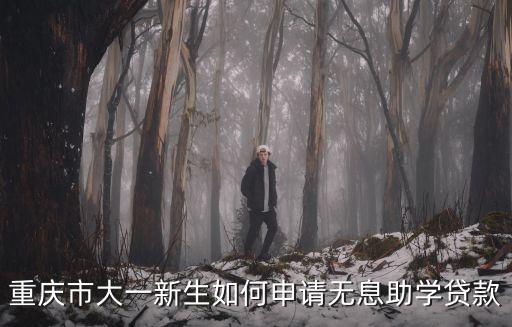重慶市大一新生如何申請無息助學(xué)貸款