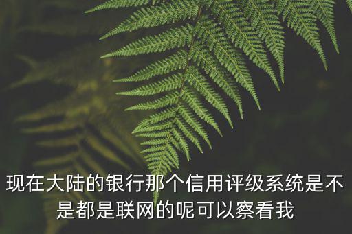 現在大陸的銀行那個信用評級系統是不是都是聯網的呢可以察看我