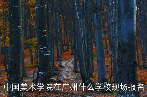 中國美術(shù)學(xué)院在廣州什么學(xué)校現(xiàn)場報名