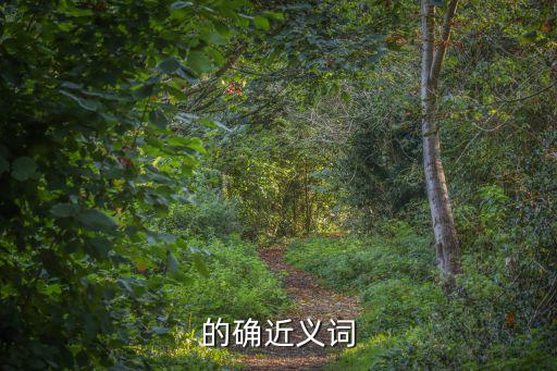 的確近義詞
