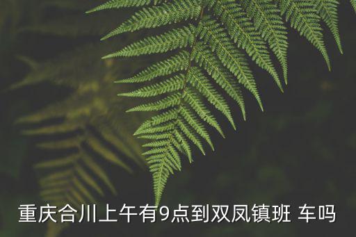 重慶市合川區雙鳳中學29級，重慶合川區有什么中學