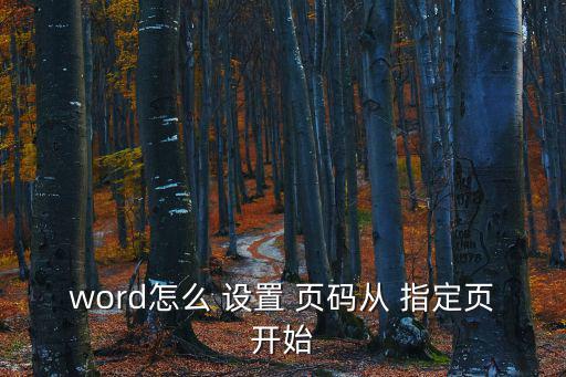 word怎么 設置 頁碼從 指定頁開始