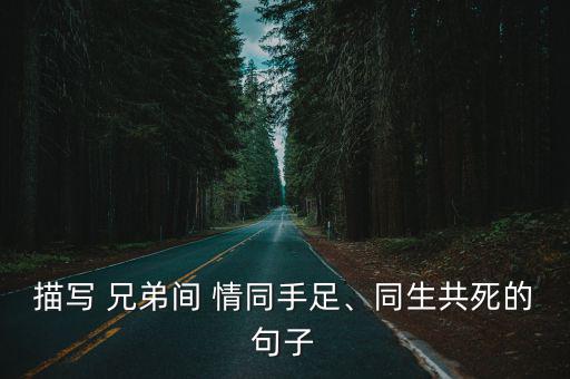 描寫 兄弟間 情同手足、同生共死的句子