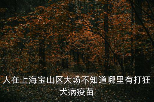 上海市大場鎮醫院電話，上海寶山大場鎮醫院有哪些地址說一下