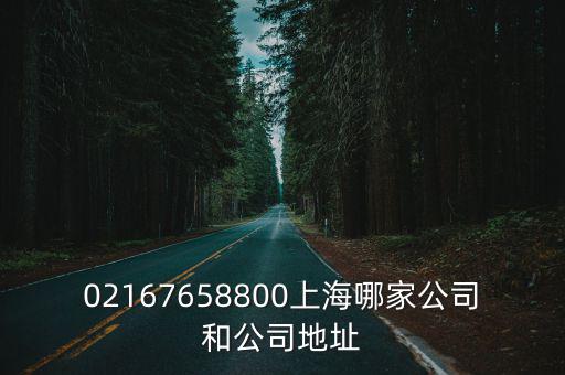02167658800上海哪家公司和公司地址