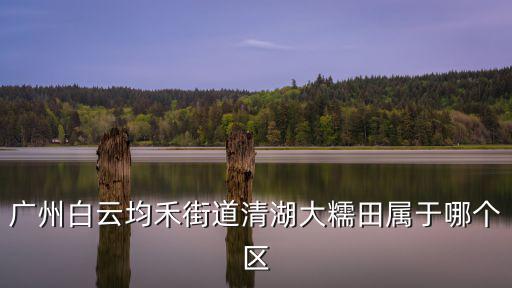 廣州白云白云湖大岡征收，白云湖大還是飛來湖大