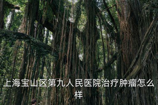 上海寶山區(qū)第九人民醫(yī)院治療腫瘤怎么樣