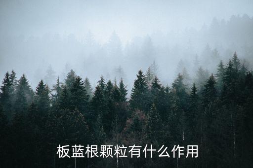 板藍根顆粒有什么作用
