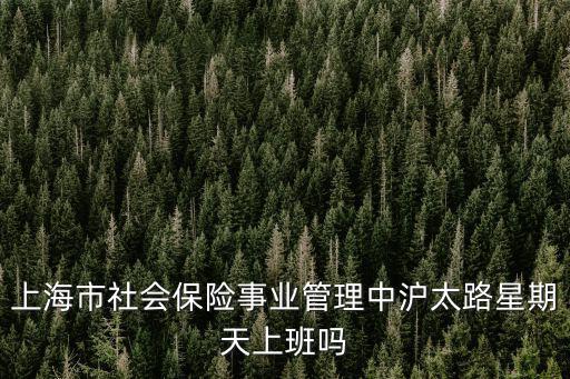 上海市社會保險事業管理中滬太路星期天上班嗎