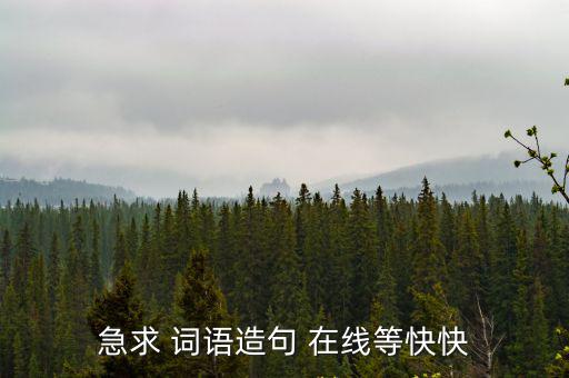 急求 詞語造句 在線等快快