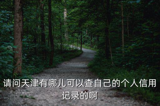 天津市債務(wù)人員如何查詢，在天津查詢信用記錄