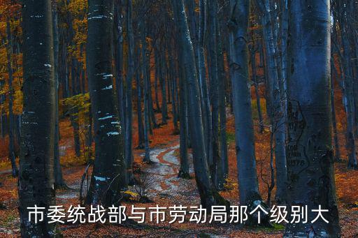 市委統戰部與市勞動局那個級別大