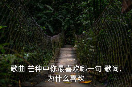 歌曲 芒種中你最喜歡哪一句 歌詞,為什么喜歡