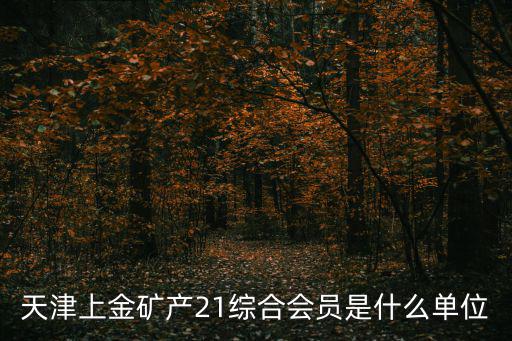 天津上金礦產21綜合會員是什么單位