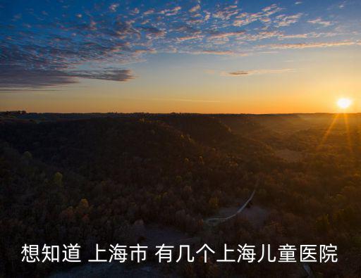 上海市兒童醫院附近的大平層，上海兒童醫院在什么地方