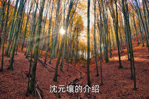 沈元壤的介紹