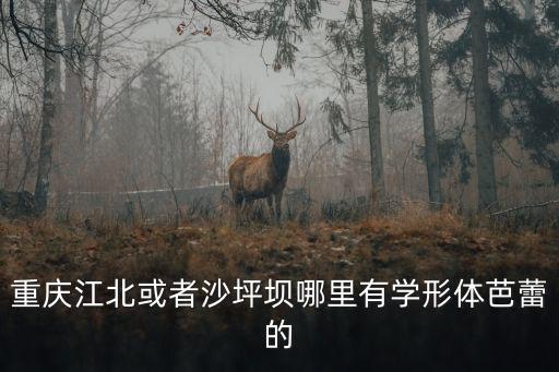 重慶市歌舞團胡長華，重慶江北或者沙坪壩哪里有學形體芭蕾的