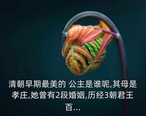 漂亮公主,第二集:公主的漂亮裙子