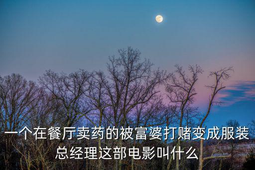 一個在餐廳賣藥的被富婆打賭變成服裝總經理這部電影叫什么