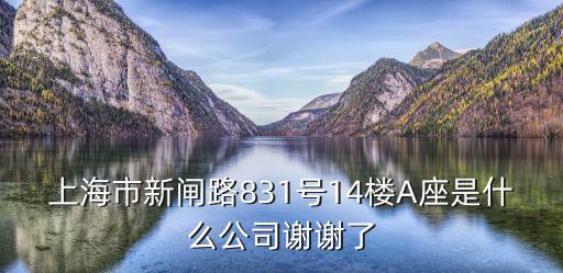 上海市新閘路831號14樓A座是什么公司謝謝了