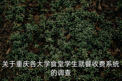 關(guān)于重慶各大學食堂學生就餐收費系統(tǒng)的調(diào)查